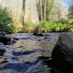 Harry Gardiner - @harrygardiner0 - Instagram
