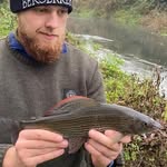 Harry Gardiner - @harrygardiner_fishing - Instagram