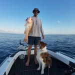 Harry Gardiner - @harrygardiner1 - Instagram