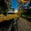 Harry Gardiners golf - @harrygardinersgolf - TikTok