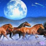 Harry Gerhardt - Facebook