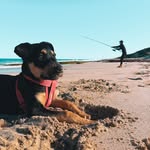 @harry.ginn - Instagram