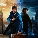 @harry.ginny.fan_girl - Instagram