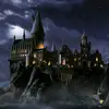 HarryGinny⚡🧹31 - @harryginny31 - TikTok