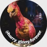 Potterheads⚡ - @harry_ginny.forever - Instagram