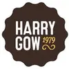 Harry gow - @harrrygow - TikTok