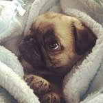 Harry Granger - @harrygrangerrr - Instagram