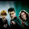 Harry_Granger - @harry_grainger - TikTok
