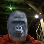 Harry grimm - @grimm5622 - Instagram