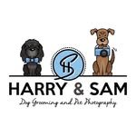 Harry and Sam Dog Grooming - @harryandsamdoggrooming - Instagram