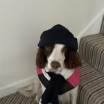 Harry Groom - @h4rr_y09 - Instagram
