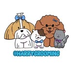harrygrooming - @harrygrooming - Instagram