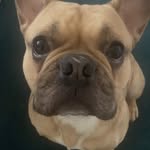 Harry Groves - @4830harry - Instagram
