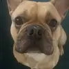 Harry Groves - @harry.groves4 - TikTok