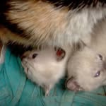 Harry Guerrero - @harry.guerrero.9619 - Instagram