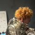 Harry Guess - Facebook