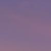 Harry Hackett - @harry.hacket - TikTok