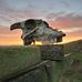 Harry Hagan - Facebook