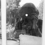 @harryhallidayy - Instagram