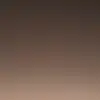 Harry Hand - @harryhand1 - TikTok