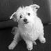 Harry Hanneman - Facebook