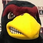 Harry Hawk - @harryhawk985 - Instagram