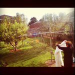 @harry_head - Instagram