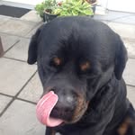 HarryHeaney - @harryheaney - Instagram