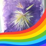 Harald Helmchen - @harryhelm11 - Instagram