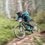Harry Helm - @harryhelm1 - Instagram