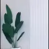 harry_shelton - @harry_shelton - TikTok