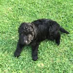 Harry Hensley - @harry_hensley - Instagram