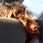 @harry_holdsworth - Instagram