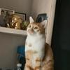 harry milan - @harry.holguin - TikTok