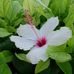 Harry Holmberg - Facebook