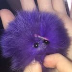 Harry (hooker) hedgehog - @harrythehooker69 - Instagram