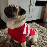 Harry Horn - @harryhorn2 - Instagram
