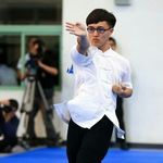 Harry Hsu - @wing_chun_harry - Instagram