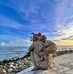Harry Hsu - Facebook