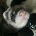 Harry Hubert III - @harryhubertthethird - Instagram