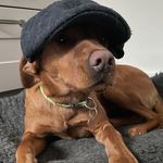harry hurst - @harryhurst068 - Instagram