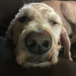 Harrison - @harryhutton2026 - Instagram
