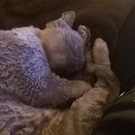 Harry Hutton - @harryyhutton - Instagram