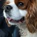 Harry Hutton - Facebook