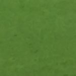 Harry Hutton - @declanhayden1874 - Instagram