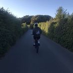 Harry Ingle - Facebook