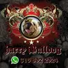 harrybulldogingle - @harrybulldogingle - TikTok
