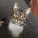 Harry And Jasper - @jasper_and_harry - Instagram