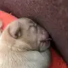 Harry Jasper Pure - @harry.jasper.pure - TikTok
