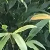 harryjasper3230 - @harryjasper3230 - TikTok